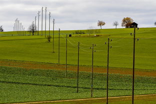 星空app官方下载-中国足球国家队强化中场控制力和调度能力，中国足球管理